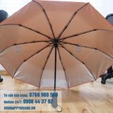  DÙ GẬP 3 TỰ ĐỘNG 2 CHIỀU 012 