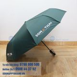  DÙ GẬP 3 TỰ ĐỘNG 2 CHIỀU 002 