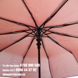  DÙ GẬP 3 TỰ ĐỘNG 1 CHIỀU 013 