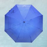  DÙ POLY 2 TẦNG 005 