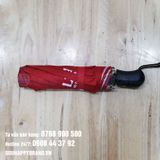  DÙ GẬP 3 TỰ ĐỘNG 1 CHIỀU 013 