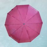  DÙ GẬP 3 TỰ ĐỘNG 2 CHIỀU 009 