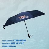  DÙ GẬP 3 TỰ ĐỘNG 2 CHIỀU 006 