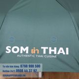  DÙ GẬP 3 TỰ ĐỘNG 2 CHIỀU 002 