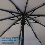  DÙ GẬP 3 TỰ ĐỘNG 2 CHIỀU 011 