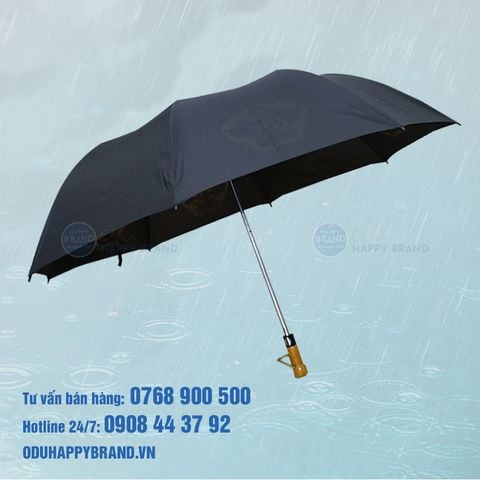 Dù cầm tay dành cho cá nhân sử dụng