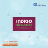  ÁO MƯA CÁNH DƠI VẢI DÙ VÂN TỔ ONG AMD19 