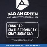  ÁO THUN CỔ TRỤ 