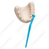  Angle - Bàn chải kẽ răng góc - Vỉ 6 cây 