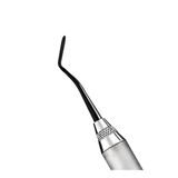  Composite Instrument - Cây trám composite - Cái 