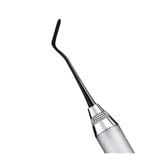  Xts unterproximal de carver - Cây trám - Cái 