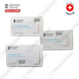  PROTAPER NEXT CONFOM FIT GUTTA-PERCHA POINTS - Côn chính nội nha - Hộp 60 cây 