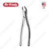  151 Apical Forceps - kiềm nhổ răng cửa hàm trên - Túi 1 cái - kiềm nhổ răng cửa hàm dưới - Túi 1 cái 