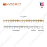  Vit-l-escence - Composite đặc màu Opaque White - Ống 2.5gr 