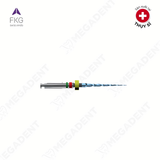  RACE EVO - Trâm máy nội nha xoay tròn - 1 cây 