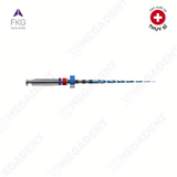  RACE EVO - Trâm máy nội nha xoay tròn - 1 cây 