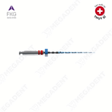  RACE EVO - Trâm máy nội nha xoay tròn - 1 cây 