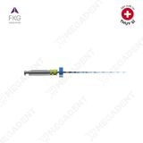  RACE EVO - Trâm máy nội nha xoay tròn - 1 cây 