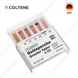  Roeko Gutta Percha Greater Taper - Côn đúc ốp ống tủy - Hộp 60 cây 