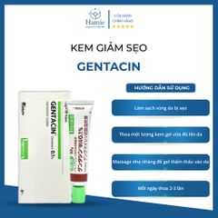 Thuốc Sẹo Gentacin Nhật Bản Ointment 0.1% 10gr