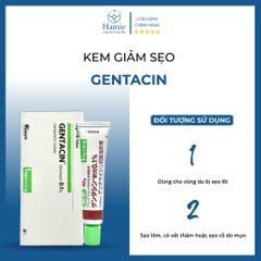 Thuốc Sẹo Gentacin Nhật Bản Ointment 0.1% 10gr
