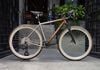 combo built xe Gravel titanium - TRIONEER