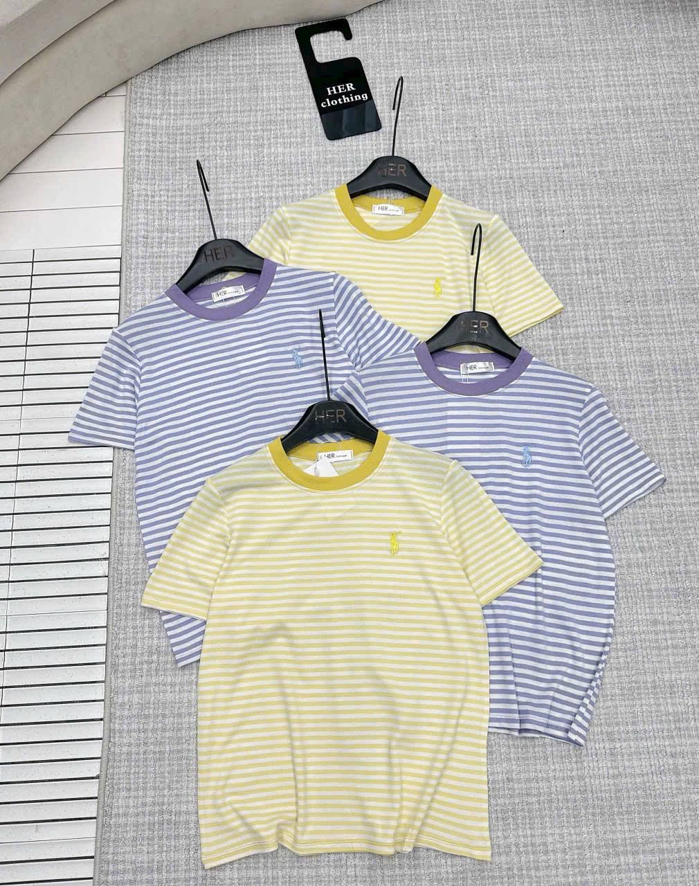  Áo ngựa kẻ cổ tròn C42 