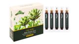  Cao nước Atisô Ngọc Duy không đường giúp bổ gan, lợi mật hộp 10 ống x 10ml 