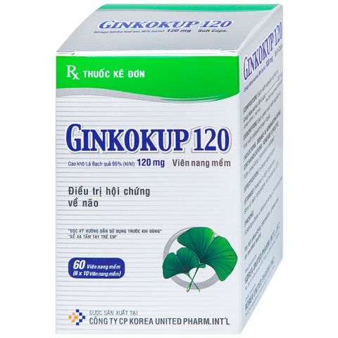  Thuốc Ginkokup 120 United điều trị bệnh sa sút trí tuệ, kể cả bệnh Alzheimer (6 vỉ x 10 viên) 