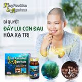  KING FUCOIDAN & AGARICUS viên uống Tpbvsk  - Tăng Hệ Miễn Dịch, Đẩy Lùi Ung Thư, Chuẩn Nhật Bản, Hộp/120 Viên 