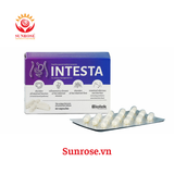  Viên uống Intesta – Hỗ trợ đại tràng & hội chứng ruột kích thích – Hộp 60 viên 