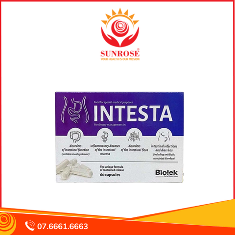  Viên uống Intesta – Hỗ trợ đại tràng & hội chứng ruột kích thích – Hộp 60 viên 