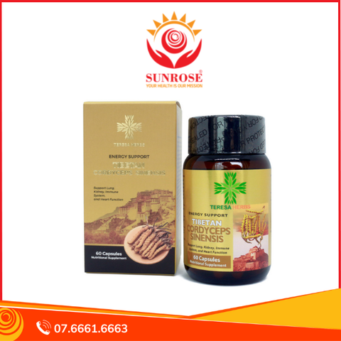  CORDYCEPS SINENSIS Viên uống Tpbvsk – ĐÔNG TRÙNG HẠ THẢO TÂY TẠNG HỘP 60 VIÊN 