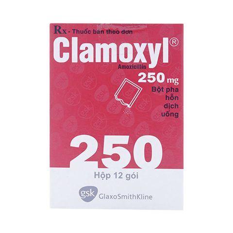  Bột pha hỗn dịch uống Clamoxyl 250mg GSK điều trị nhiễm khuẩn (12 gói) 