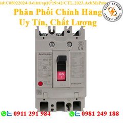 2CJ342A00000H CẦU DAO TỰ ĐỘNG DẠNG KHỐI MITSUBISHI NF125-SGV 3P 45-63A