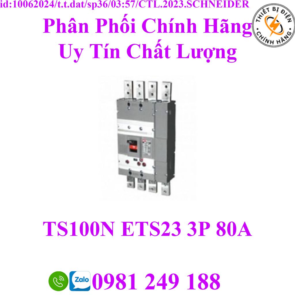 TS100N ETS23 3P 80A thietbidienchinhhang