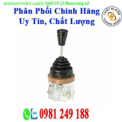 Công tắc cần gạt LEL-02-1