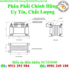 Biến áp điều khiển NCTF0300