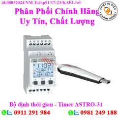 Bộ định thời gian - Timer ASTRO-31