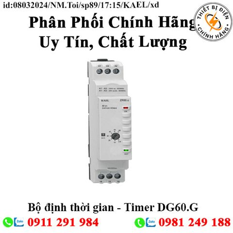 Bộ định thời gian - Timer DG60.G