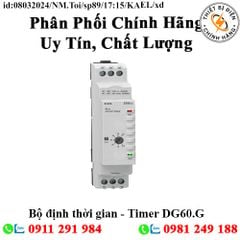 Bộ định thời gian - Timer DG60.G