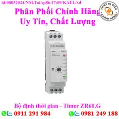 Bộ định thời gian - Timer ZR60.G