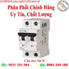 Cầu dao MCB FAZ-C10/2 Eaton