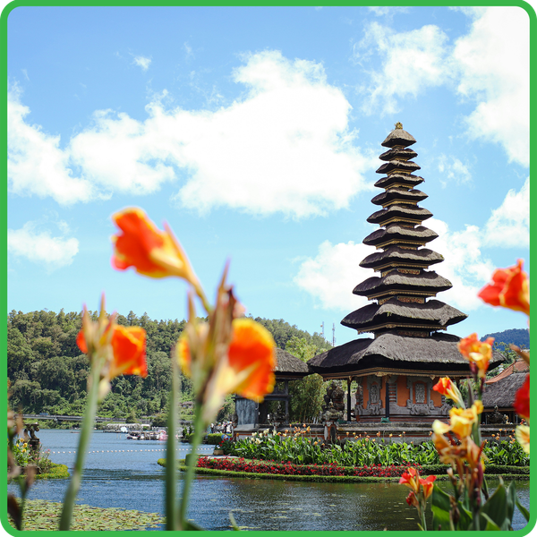  Tour du lịch Bali tham quan đảo rùa 