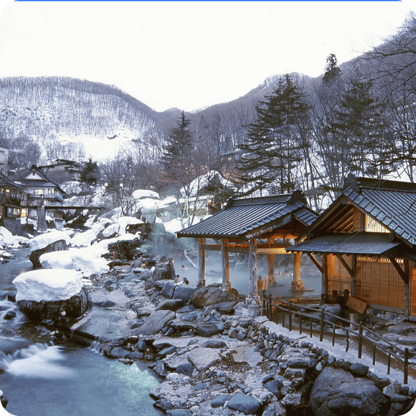 du-lich-nhat-ban-hoa-anh-dao