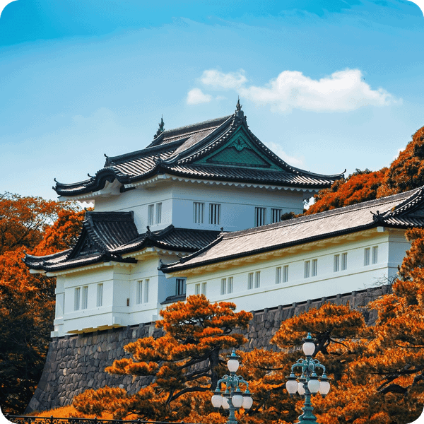  Tour Tết du lịch Nhật Bản Tokyo - Fuji 5 ngày 4 đêm 