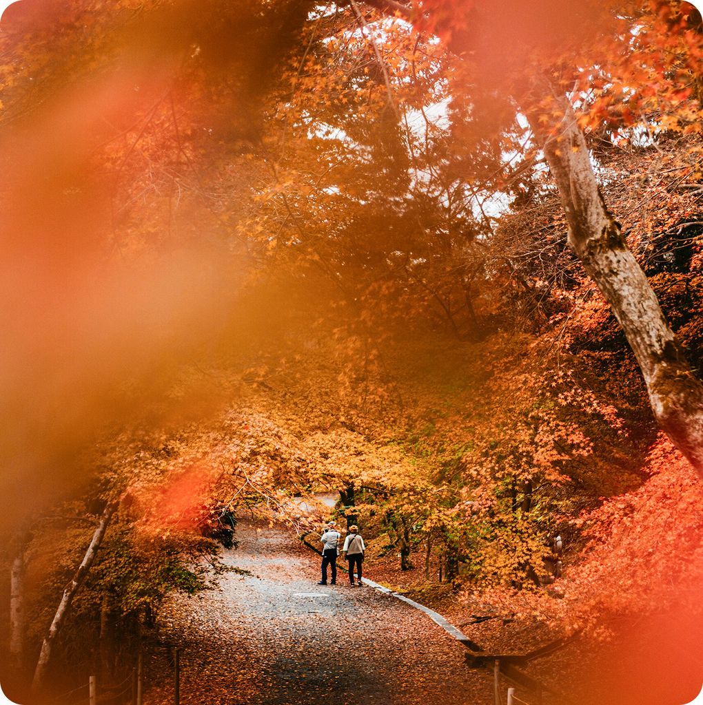 Du Lịch Nhật Bản 5 ngày 5 đêm