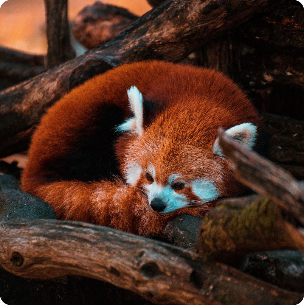 Du lịch Trung Quốc 7 ngày 7 đêm