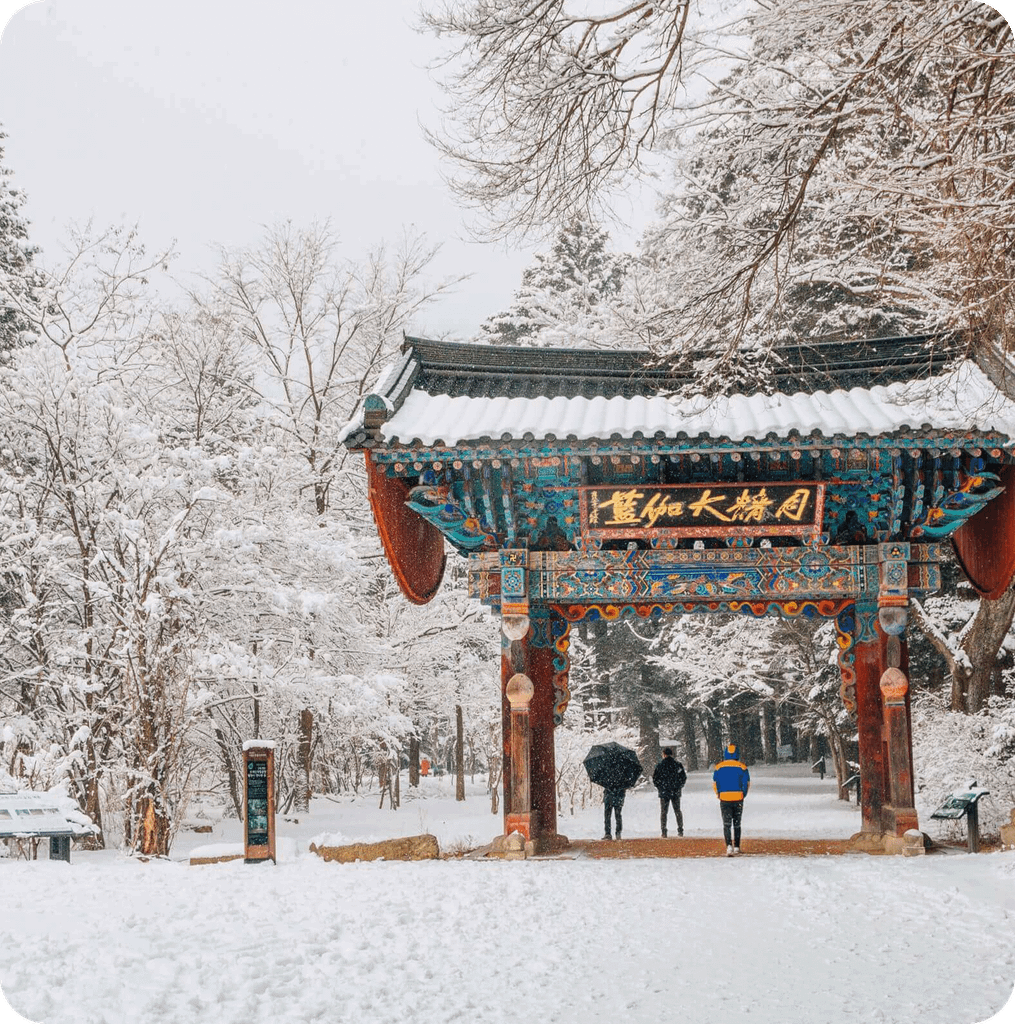 Du lịch Hàn Quốc 4N4Đ Lotte World