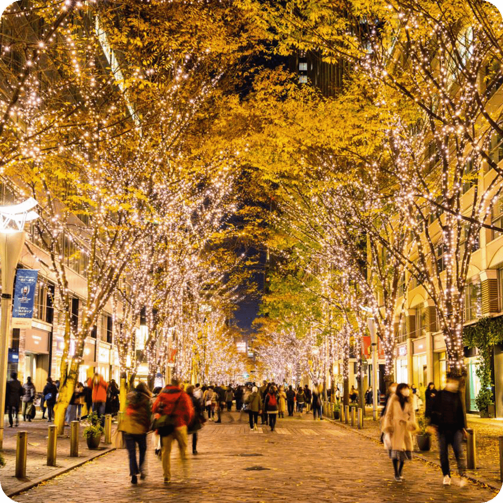 Tour du lịch Nhật Bản ngắm núi Phú Sĩ